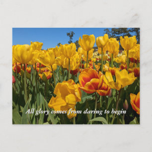 New Beginnings Spring Yellow Tulip Flowers Postcard