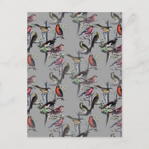 New Birds pattern accessories vintage art grey Postcard