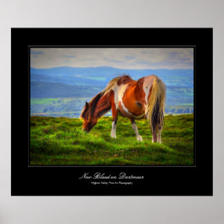 New Blood On Dartmoor gallery poster print