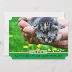 New Born Kitten & Happy New Year! Card /Cats