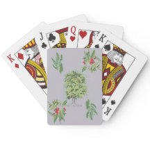 New botanical illustration Claraíba lilac tree
