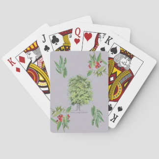 New botanical illustration Claraíba lilac tree Poker Cards