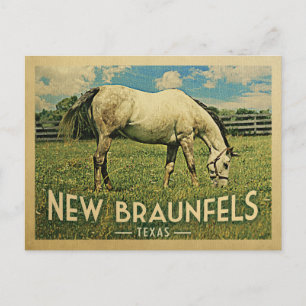 New Braunfels Texas Horse Farm - Vintage Travel Postcard