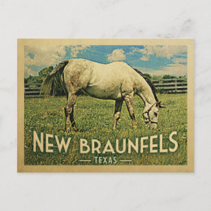 New Braunfels Texas Horse Farm - Vintage Travel Postcard
