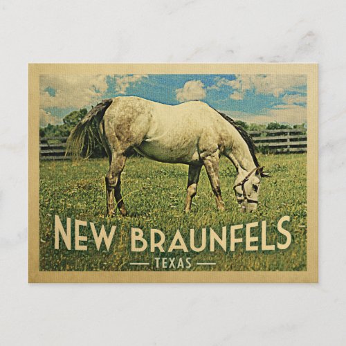 New Braunfels Texas Horse Farm _ Vintage Travel Postcard