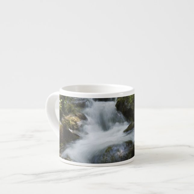 New Brunswick, Canada. Dickson Falls in Fundy Espresso Cup (Front Left)