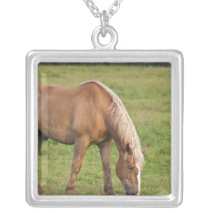 New Brunswick, Canada. Horse in field. Silver Plated Necklace