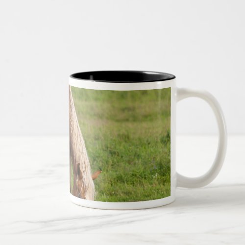 New Brunswick Canada Horse in field Two_Tone Coffee Mug