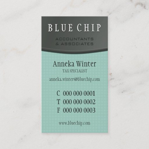 Customizable NEW BUSINESS CARD :: silver panel 10P