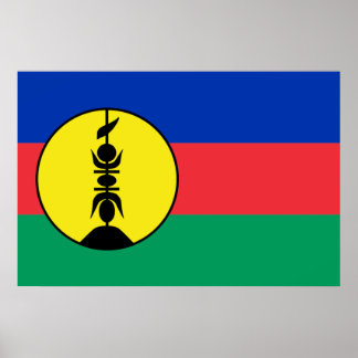 New Caledonia, Democratic Republic of the Congo Poster