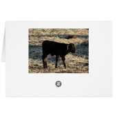 New Calf Cards (Back Horizontal)