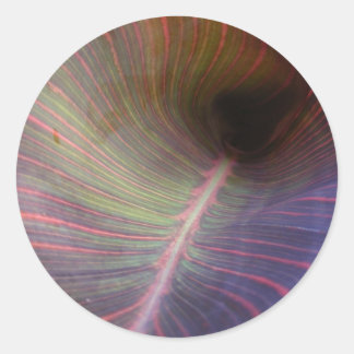 New Canna Leaf ~ sticker