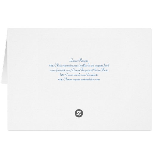 New Cape Henry Lighthouse (Back Horizontal)