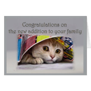 New Cat Addtion to Family Cards