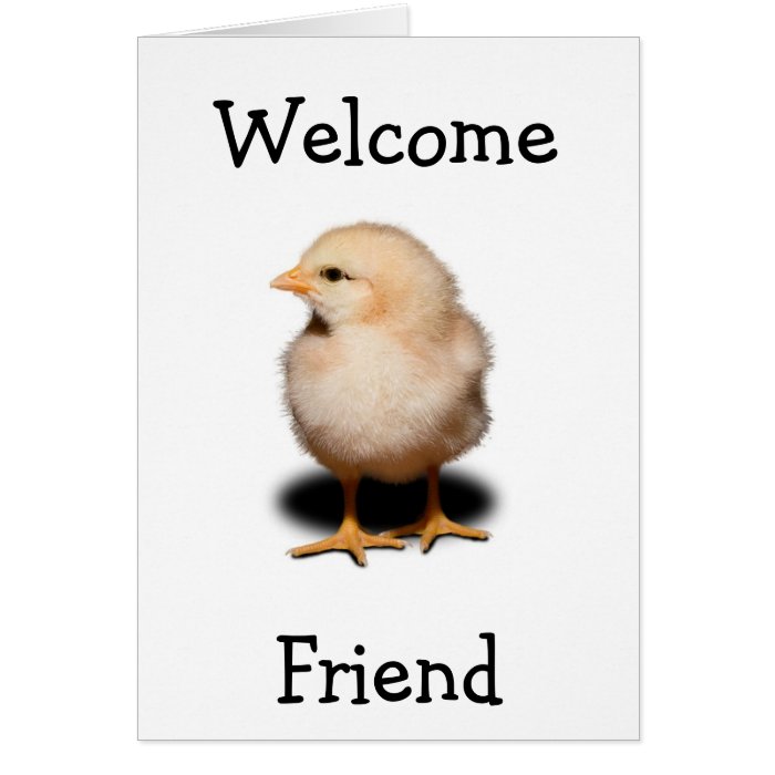 New Chick On TheBlock   Friendly Greeting Card