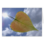 New Cottonwood Leaf (Front Horizontal)