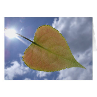 New Cottonwood Leaf Cards