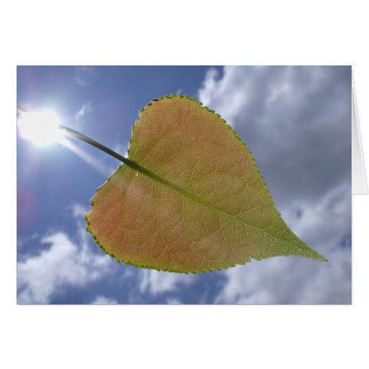 New Cottonwood Leaf Cards (Front Horizontal)