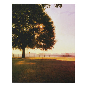 New Day Faux Canvas Print