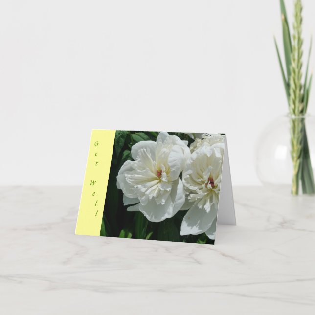 New Day Gardens Get Well Card- White Peony Y Card (Front)