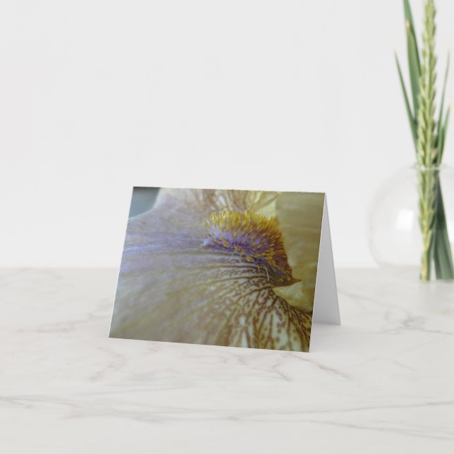 New Day Gardens Notecard- Iris 'Ecru To You' Card (Front)