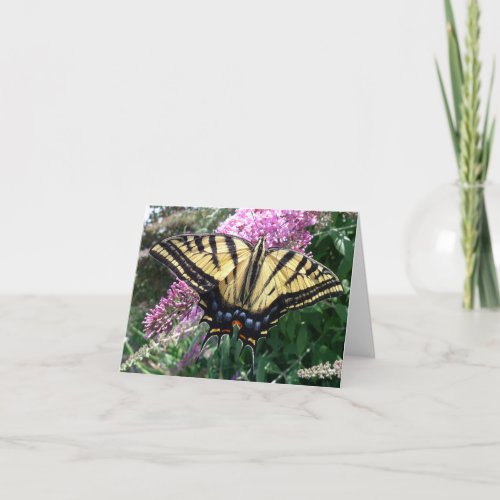 New Day Gardens Notecard_Western Swallowtail Card