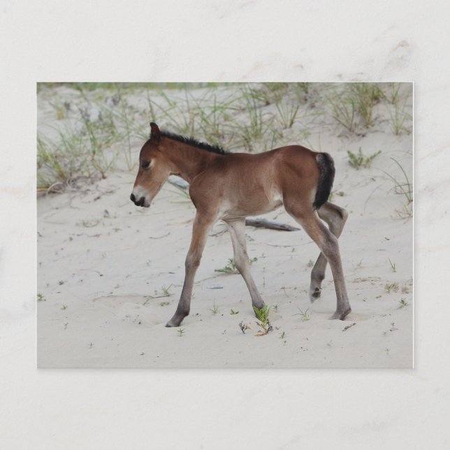 New Day Postcard (Front)