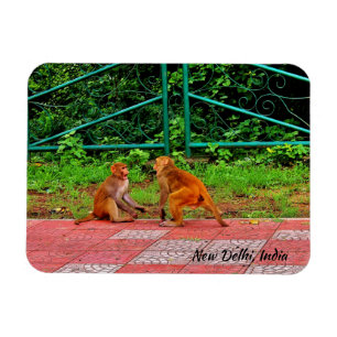 New Delhi, India Magnet
