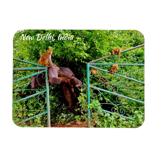 New Delhi, India Magnet (Horizontal)