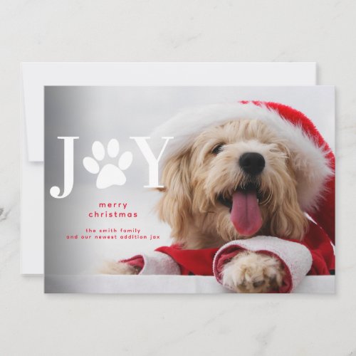 New Dog Puppy Joy Paw Christmas Announcement