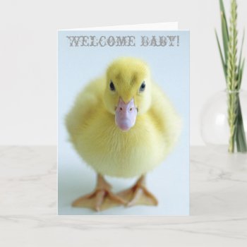 New Duckling Announcement by RHFIneArtPhotography at Zazzle