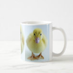 New Duckling Coffee Mug at Zazzle