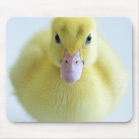 New Duckling Mouse Pad