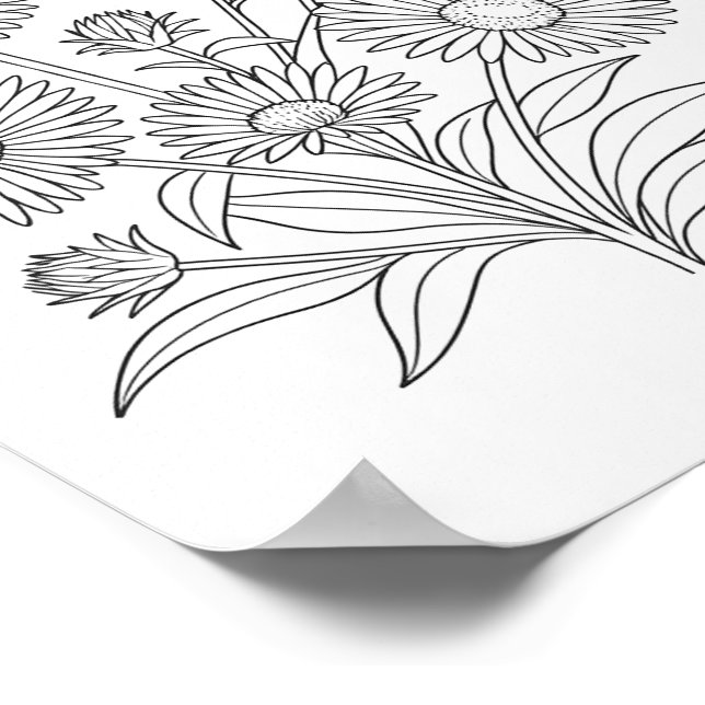 New England Aster Coloring Poster (Corner)