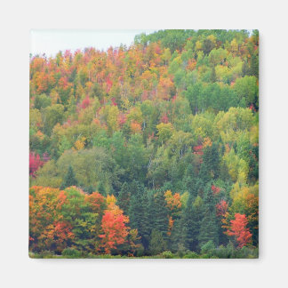 New England Autumn 073 Magnet