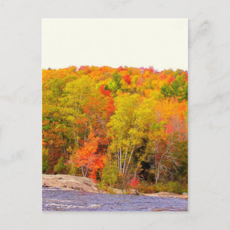 New England Autumn 118 Postcard