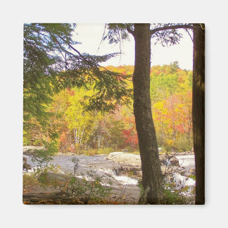 New England Autumn 127 Magnet
