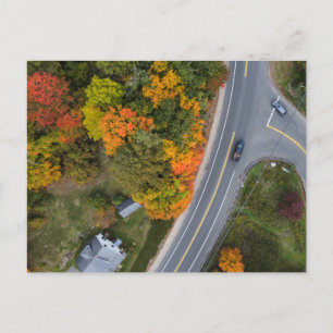 New England Autumn Roadways Postcard