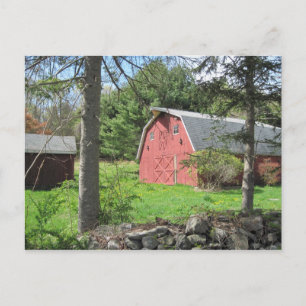 New England Barn Postcard