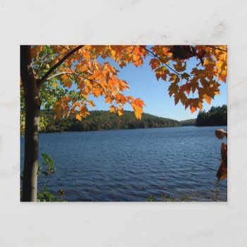 New England Fall Lake Postcards by pamdicar at Zazzle