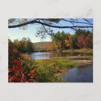 New England Fall Pond Postcards by pamdicar at Zazzle