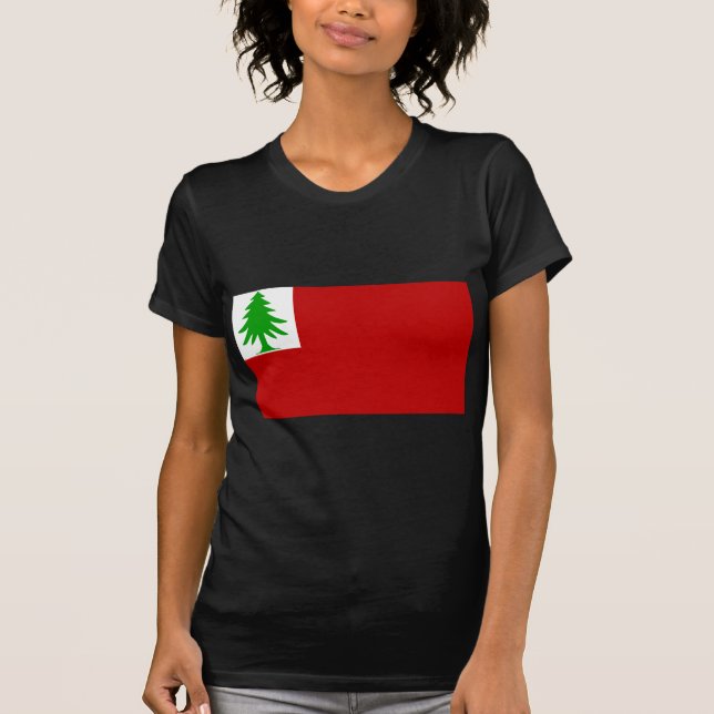 New England Flag T-Shirt (Front)