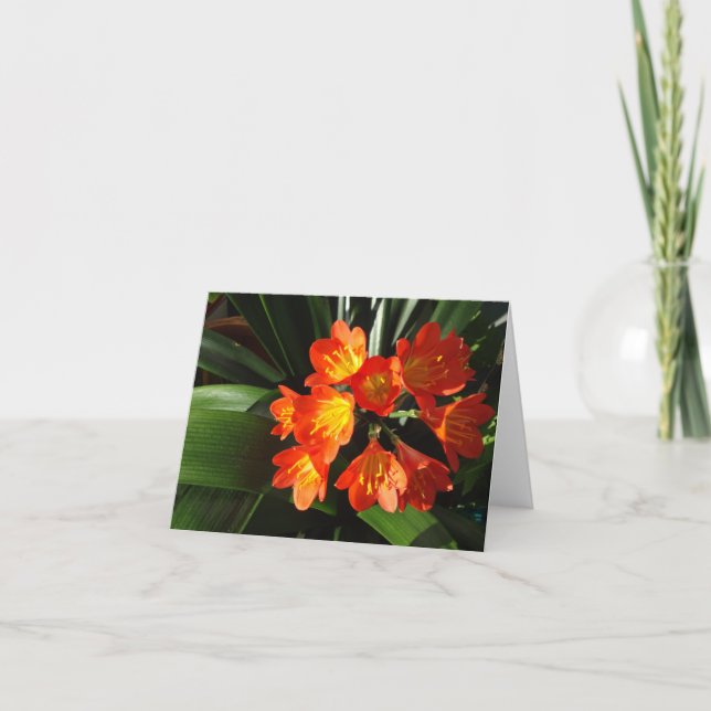 New England floral notecard collection (Front)