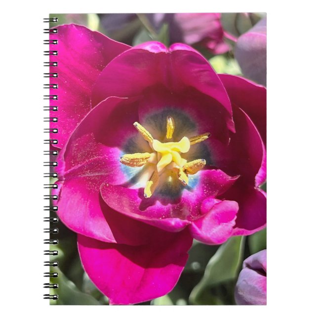 New England Flower Photo Notebook (Front)