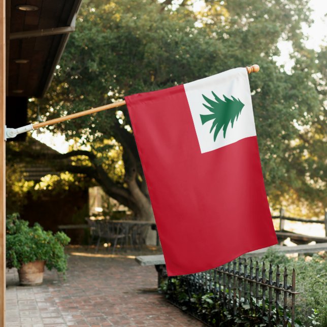 New England Pine Tree Flag (In SItu)