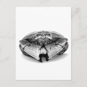 New England Rock Crab I Postcard