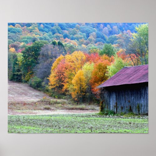 New England Tobacco Barn Autumn Foliage Nature Poster