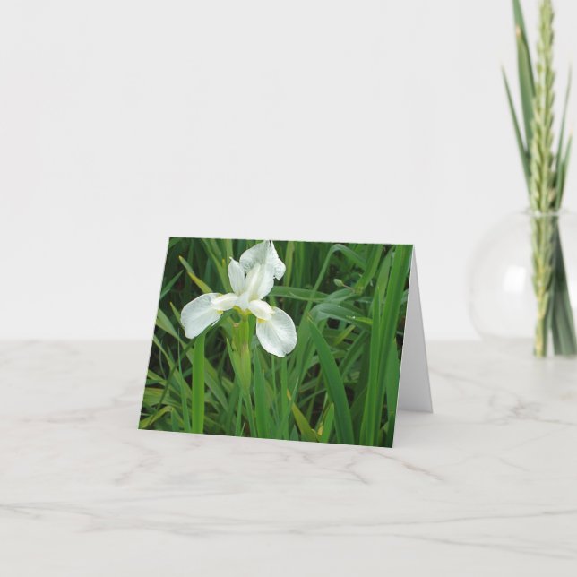 New England White Iris floral notecard collection (Front)