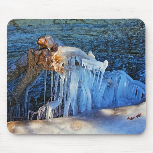 New England Winter Icy Branch Lake Champlain Photo Mouse Pad