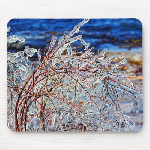 New England Winter Icy Branches Lake Champlain Mouse Pad